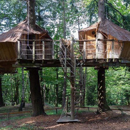 Les Cabanes De Labrousse Saint-Julien-Labrousse Kültér fotó